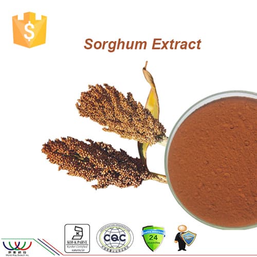 Natural balancing blood sugar_ antioxidant sorghum extract